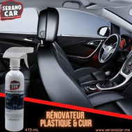 SPRAY DE RESTAURATION INTÉRIEUR DE VOITURE