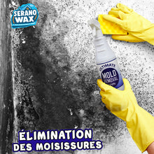 Load image into Gallery viewer, Spray Ultimate Clean Anti-Moisissure